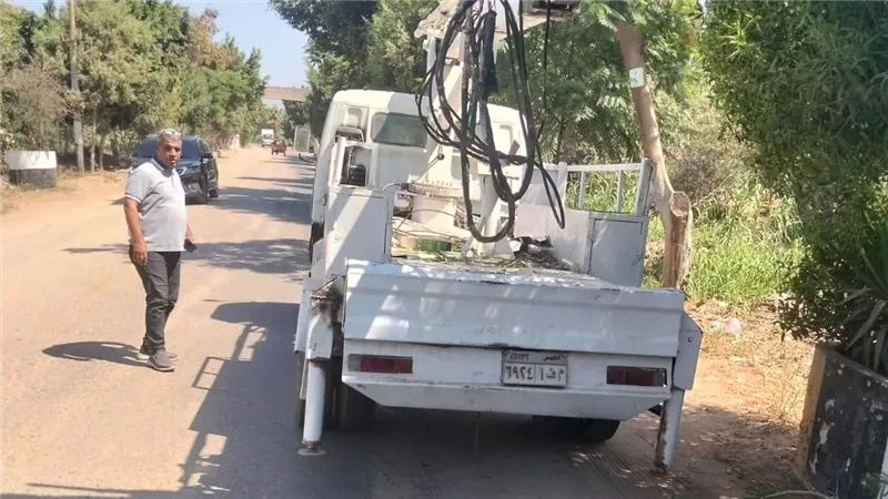 زراعة 35 شجرة وتمهيد الطرق.. مبادرة «يوم في قريتنا» تواصل أعمالها بالمنوفية