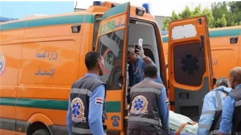 حقيقة فيديو مشاجرة شقيقين بالإسكندرية.. إصابة بالذراع وليست واقعة ذبح كما تردد