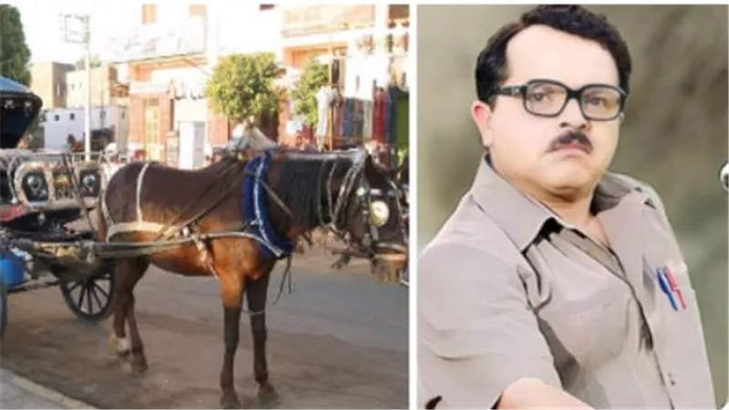 تخيل نفسك حنطور ومبروك أبو العلمين.. أغرب مواقف الثانوية العامة