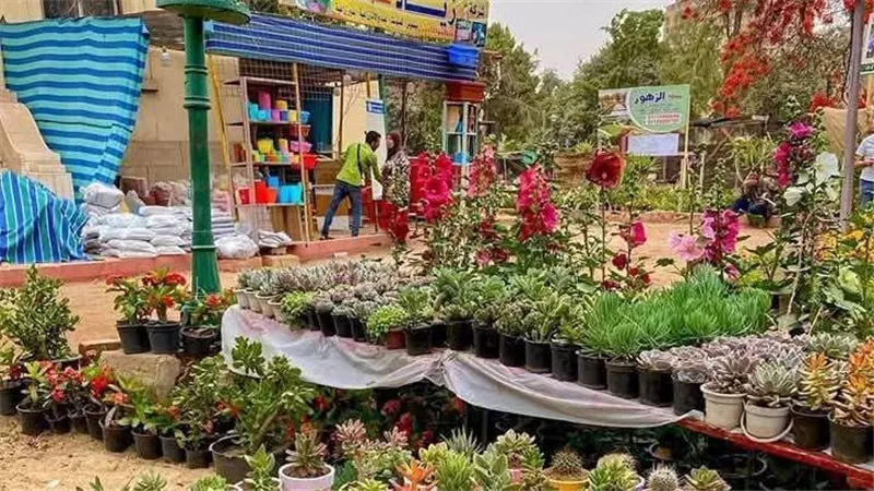القومي للبحوث يواصل تقديم نصائحه الغذائية عبر سلسلة «صحتك في الربيع» (تفاصيل) 