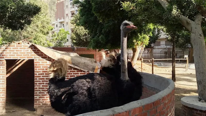 بـ
