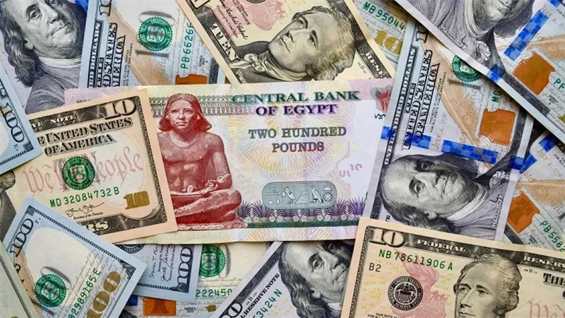 تراجع جديد.. سعر الدولار اليوم 14-5-2025 أمام الجنيه في بداية تعاملات البنوك