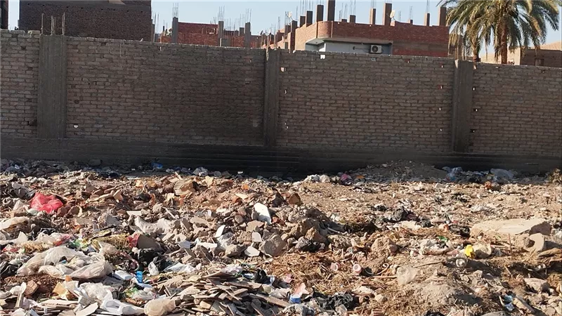 الحشرات تهاجمنا.. أهالي أبنود بقنا يستغيثون من انتشار القمامة حول مجمع المدارس