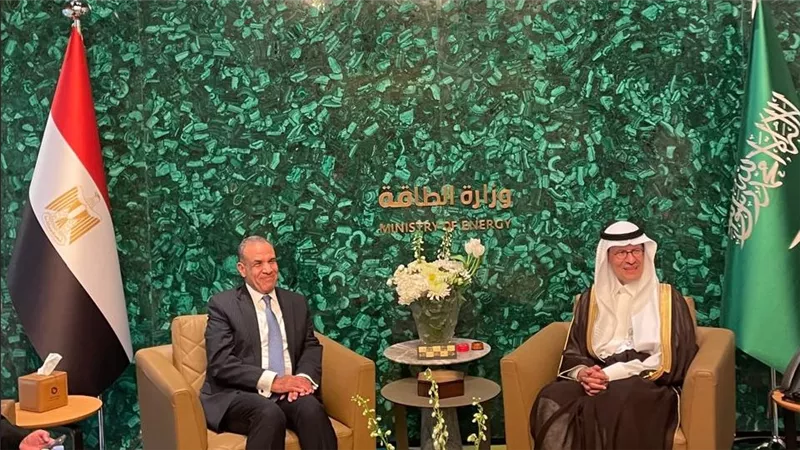 بعد الربط الكهربائى .. شراكة جديدة بين مصر والسعودية فى الطاقة الخضراء 