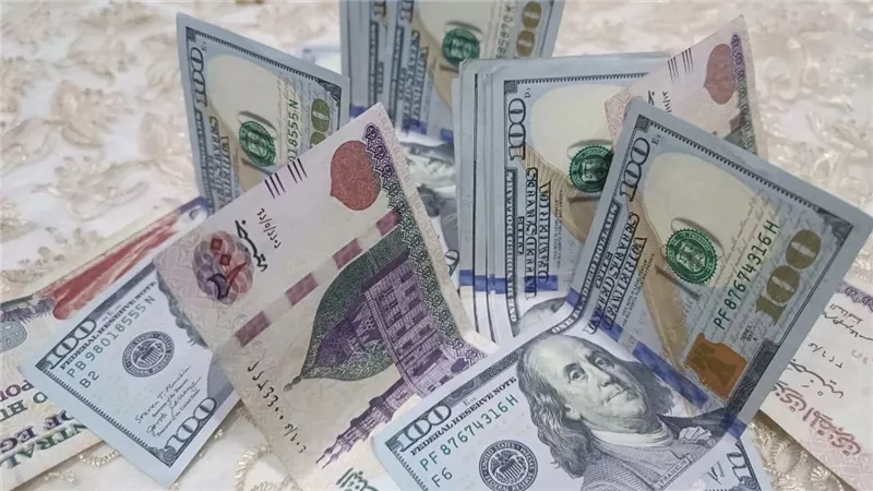 49.97 جنيه للبيع .. استقرار سعر الدولار في بداية تعاملات الجمعة