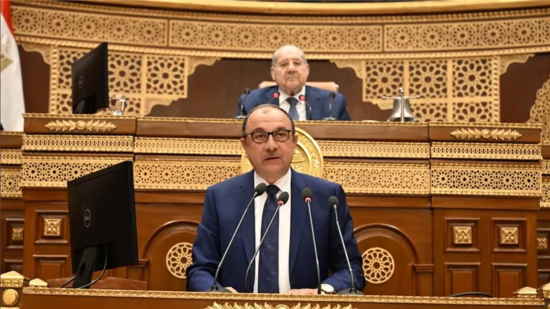 وزير قطاع الأعمال: شركة النصر للسيارات أولولية لدى الحكومة وستحقق أهدافها 