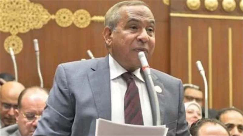 النائب طارق رسلان: مشاركة المصريين في انتخابات الشيوخ واجب وطني