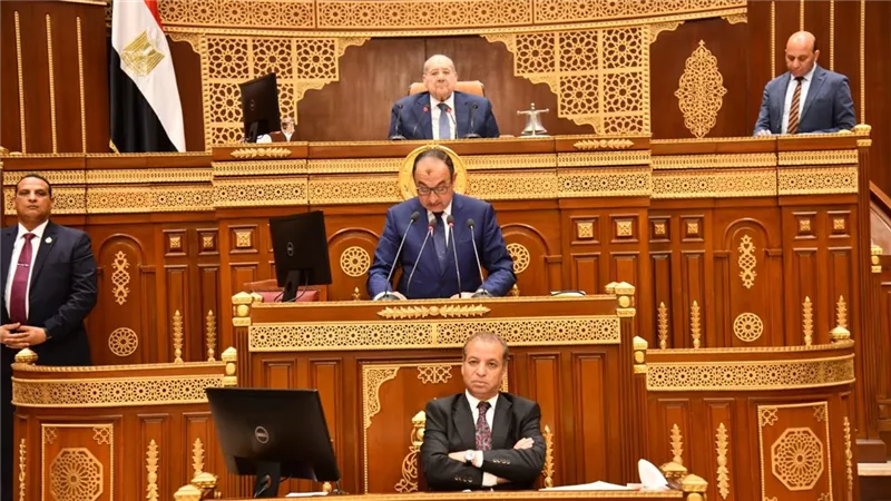 استعراض خطة استثمارات الدولة في شركات قطاع الأعمال العام أمام مجلس الشيوخ