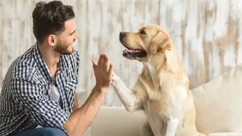 بعد واقعة الهاسكي ..7 كلاب مخلصة وأفضل رفيق للشخص الوحيد