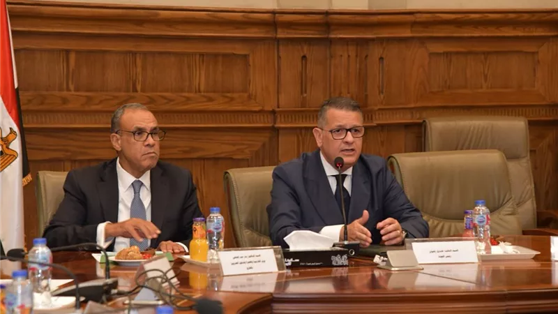 لجنة حقوق الإنسان بالبرلمان يلتقى بوزير الخارجية والهجرة