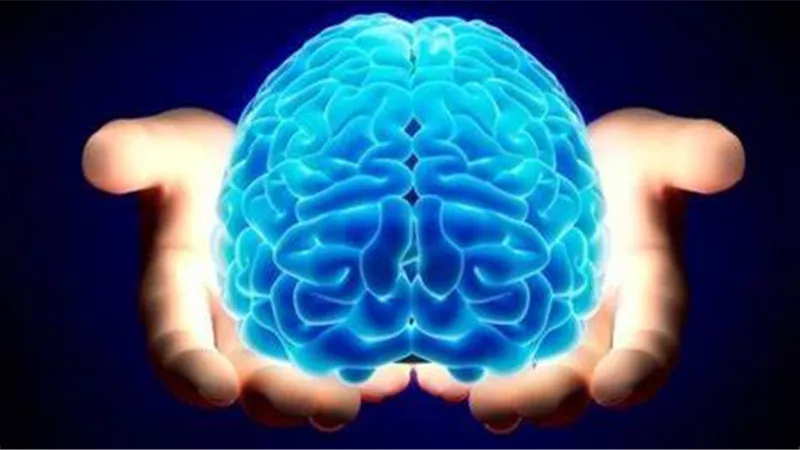 دراسة تكشف السن الذي تبدأ فيه شيخوخة الدماغ بشكل سريع