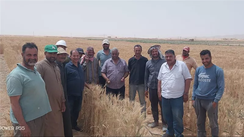 مبادرة 