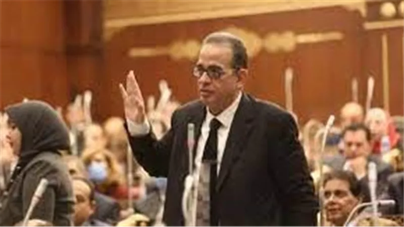 برلمانية الوفد: غزو الصحراء وإقامة تنمية حقيقة ضرورة لتحقيق الأمن الغذائي