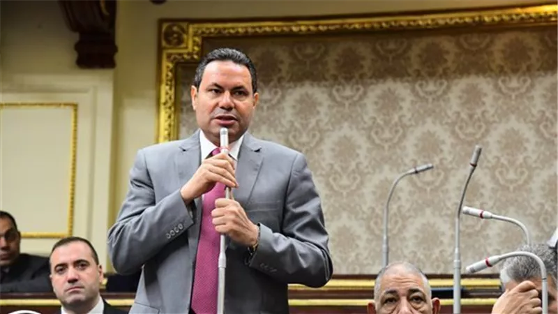 هشام الحصري يطالب بإعادة النظر في سعر توريد القمح وتطبيق تخفيض غرامات الأرز