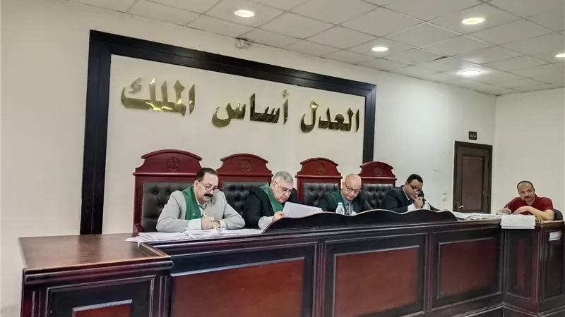 حبس نجل الفنان عبد العزيز مخيون 6 أشهر وتغريمه 10 آلاف جنيه