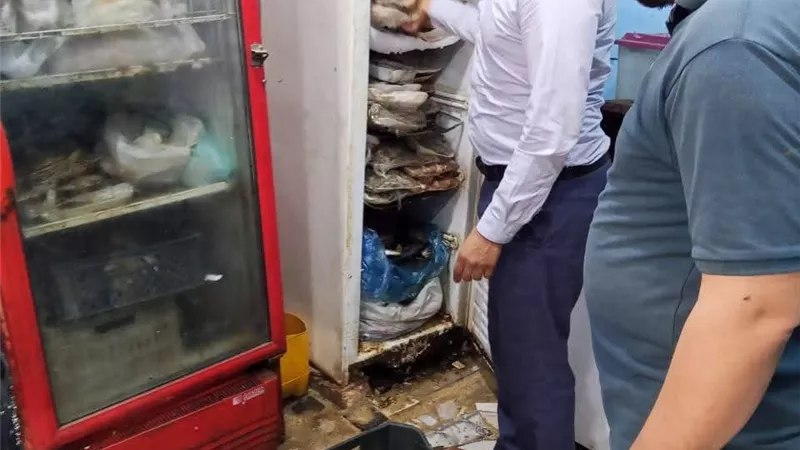 ضبط أسماك فاسدة بمطعم بدون ترخيص في البدرشين                                 