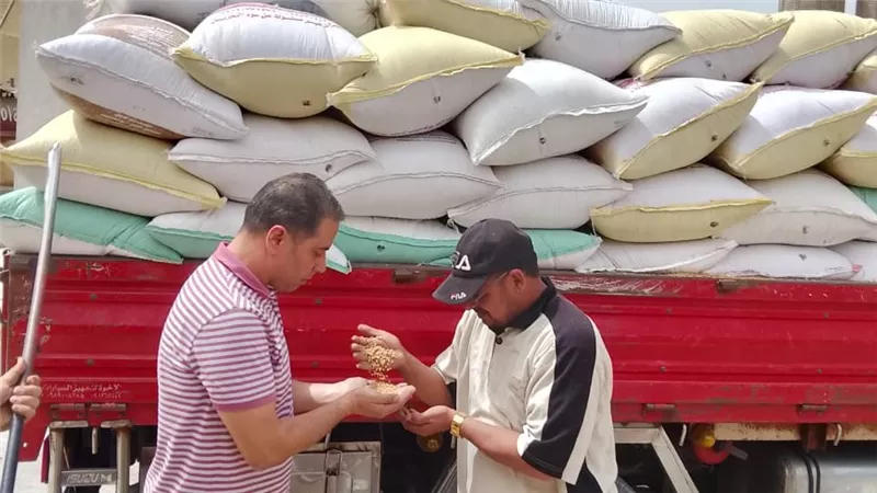 توريد ٢٠٠٠ طن من القمح فى الأسبوع الأول من موسم التوريد بالجيزة