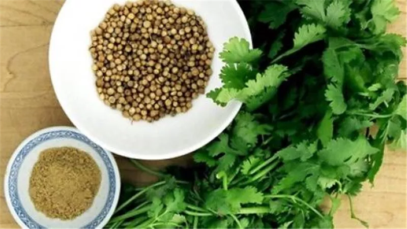 بذور الكزبرة.. كنز طبيعي يدعم القلب والهضم والمناعة ويحسن النوم