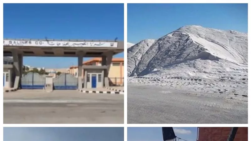 شركات وزارة قطاع الأعمال العام تواصل دعمها لمشروعات التنمية في أرض الفيروز