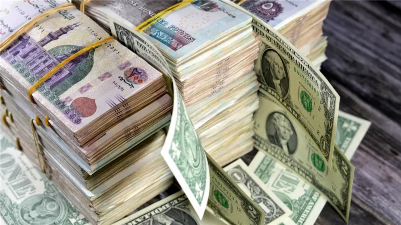 60 مليون جنيه.. سقوط أخطر شبكة لغسل أموال تجار المخدرات بالجيزة