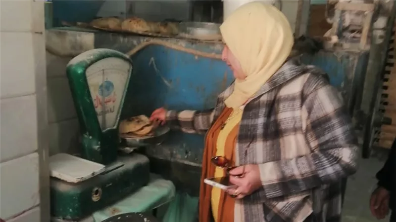 ضبط 45 كرتونة رنجة مجهولة المصدر وتحرير 210 محضر تمويني بالمنوفية