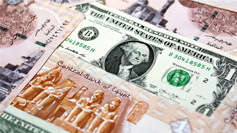 مفاجأة.. سعر الدولار مقابل الجنيه المصري بمنتصف تعاملات اليوم 29 إبريل 2025