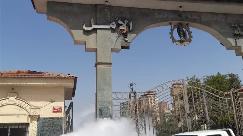 لليوم الثاني على التوالي.. حملات مكثفة لمواجهة الناموس والحشرات بالغربية