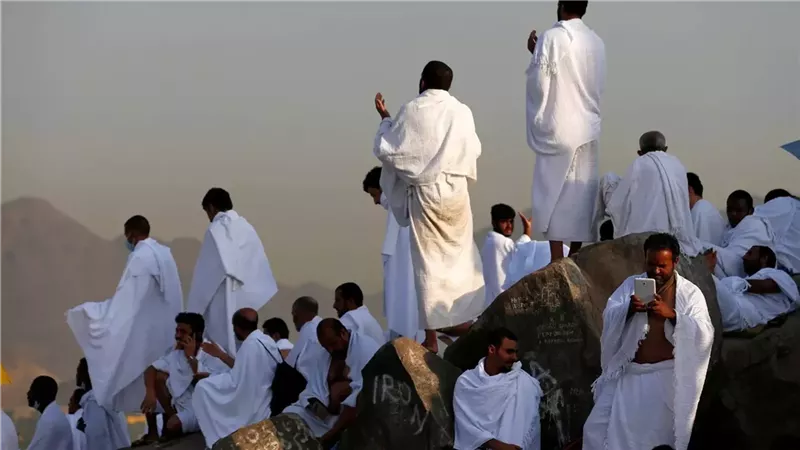هل قطع الأشجار في منى بقصد السواك يفسد الحج؟.. دار الإفتاء توضح