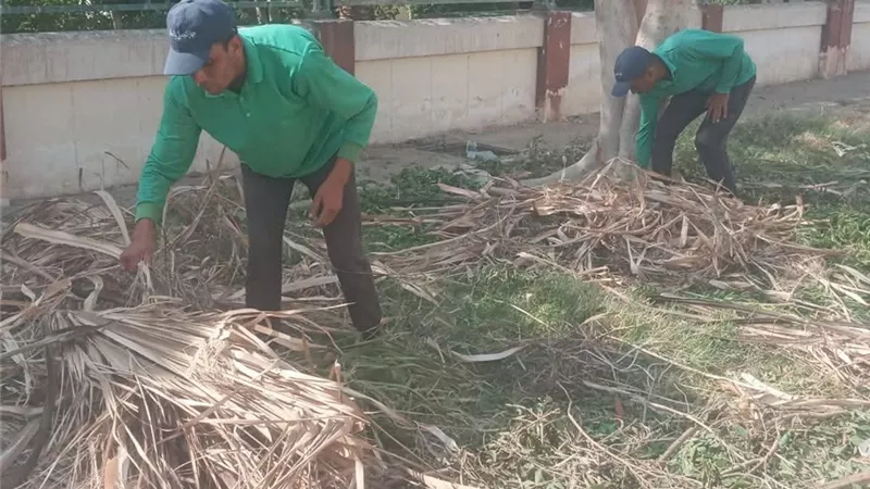 جهاز التجميل والحدائق بالسويس يواصل حملات النظافة ورفع المخلفات بجميع القطاعات