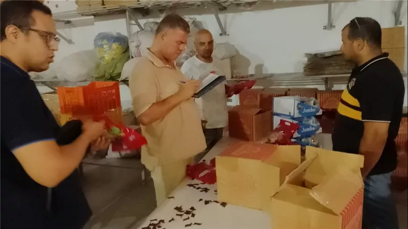 ضبط مصنع غيرمرخص لحلوى المولد والتحفظ على ١٨ ألف قطعة و٦٥٠كيلومن خامات التصنيع