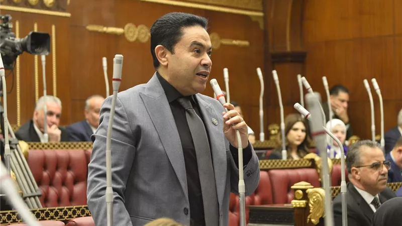 «الشجرة ليست المشكلة».. إسماعيل الشرقاوي يطالب بإعادة النظر في تخطيط الطرق