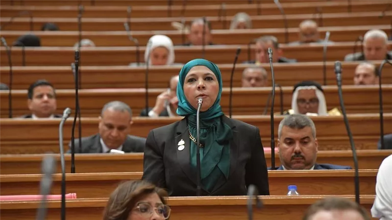 مريم العزب: قوة الدولة المصرية ووحدة الشعب هما صمام الأمان في مواجهة التحديات