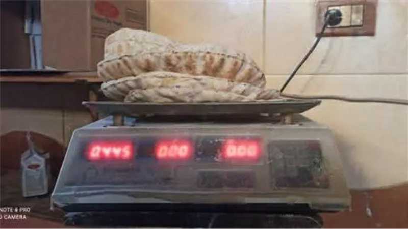 تحرير ٧ تقارير بمخالفات ضد مخابز في حملة تموينية بمحافظة بورسعيد 