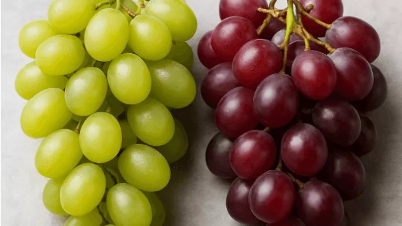 العنب الأحمر أم الأخضر؟.. أيهما يمنح الجسم فوائد صحية أكبر؟