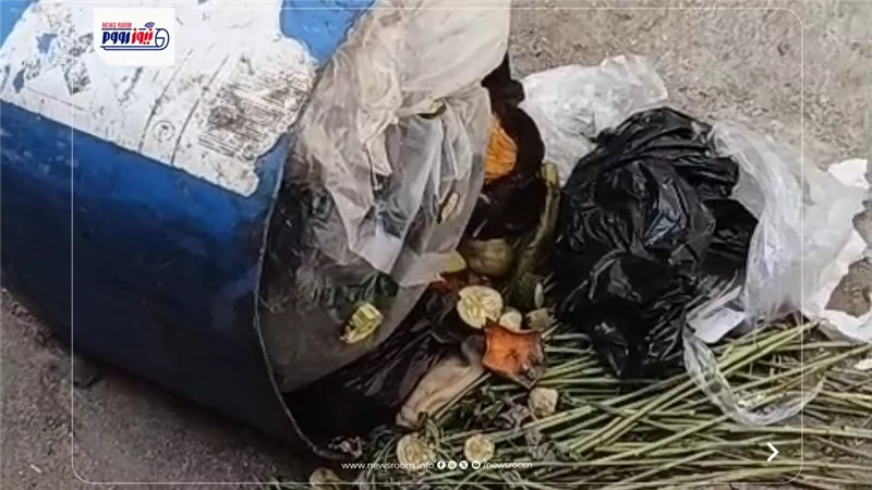 استغاثة أهالي فيديمين بالفيوم: «الريحة وحشة ومش قادرين نتنفس».. ومطالبات عاجلة للمحافظ بالتدخل