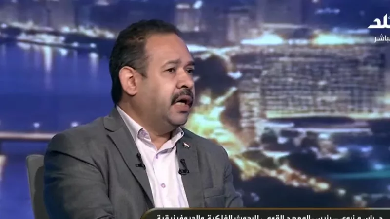 رئيس «القومي للبحوث الفلكية»: الضغط الكبير على موقع المعهد أخّر بيان الزلزال