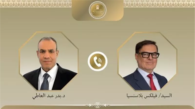 مصر تجدد دعمها لفنزويلا.. عبد العاطي يبحث التعاون والإعمار مع نظيره الفنزويلي
