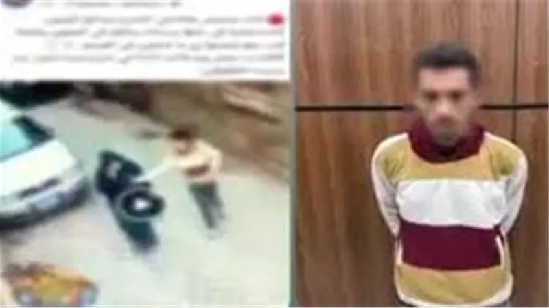 15 أغسطس محاكمة المتهم بالتحرش بطالبة فى فيديو صادم  