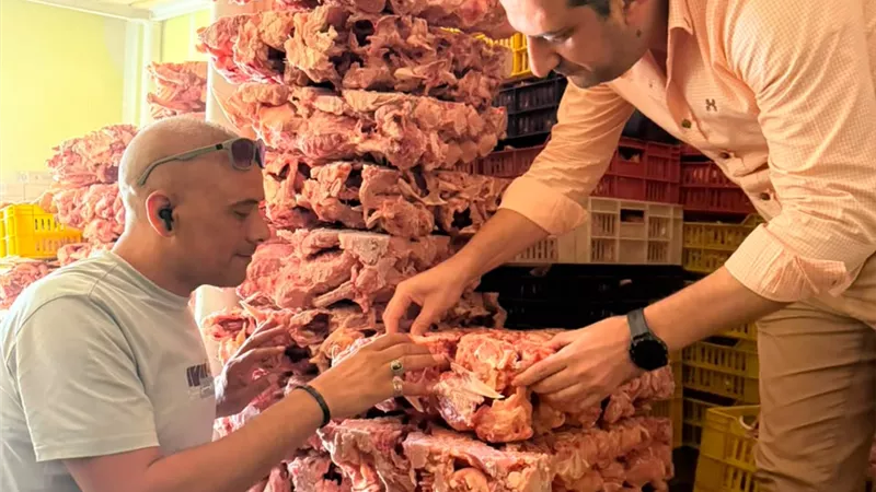 الغربية.. ضبط 3.75 طن دواجن فاسدة قبل طرحها في الأسواق