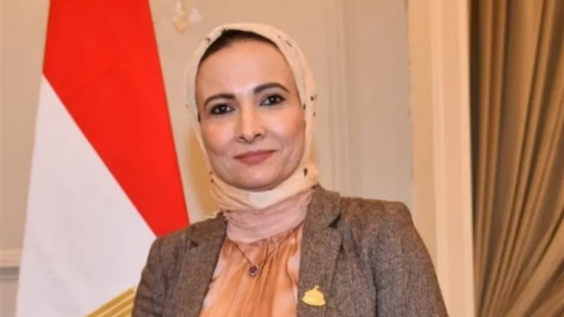 نشوة عقل: قانون تداول المعلومات ضرورة عاجلة لمواجهة الشائعات وحماية الوعي