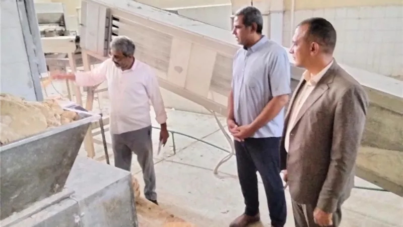 تموين البحيرة: ضبط 3 مخابز وتحرير 213 محضراً لمخابز بلدية مخالفة بدمنهور