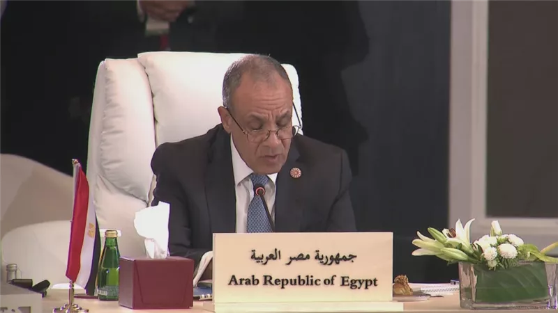وزير الخارجية: القضية الفلسطينية تمر بأخطر منعطف في تاريخها