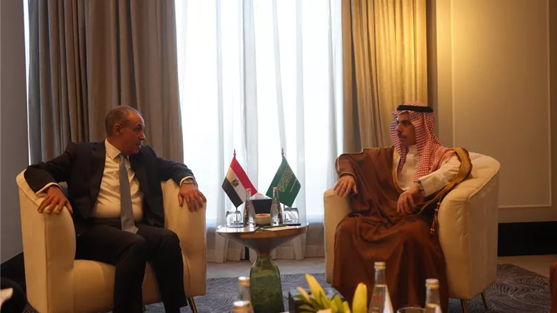 وزير الخارجية يلتقي نظيره القطري على هامش الاجتماع الوزاري حول القدس في عمّان