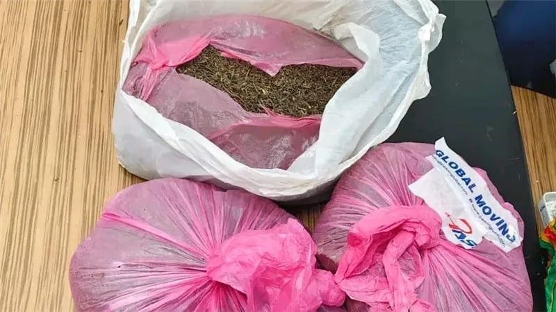 جمارك مطار القاهرة تحبط محاولة تهريب 9.5 كيلو من مخدر القات بحوزة راكبة |صور