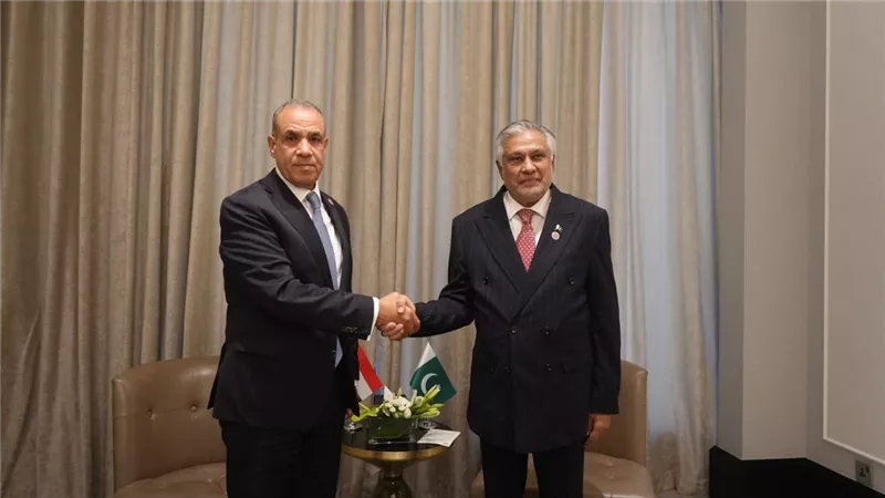 وزير الخارجية يلتقي نظيره الباكستانى على هامش الاجتماع الوزاري بشأن القدس