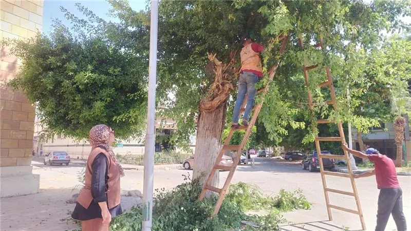 جهاز التطوير والتجميل يواصل رفع كفاءة وتجميل شوارع وميادين الإسماعيلية