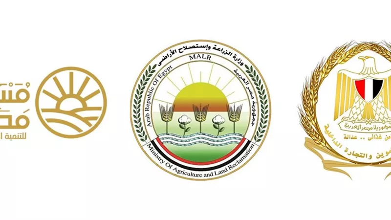 بدء طرح السكر الحر بسعر 25 جنيهًا للكيلو اعتبارًا من غد الخميس