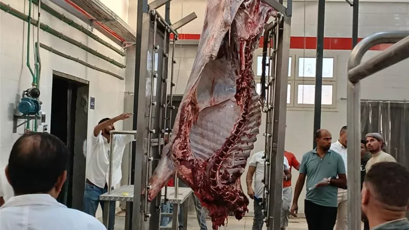 محافظ سوهاج يعلن بدء التشغيل التجريبي لمجزر أخميم بتكلفة 38 مليون جنيه