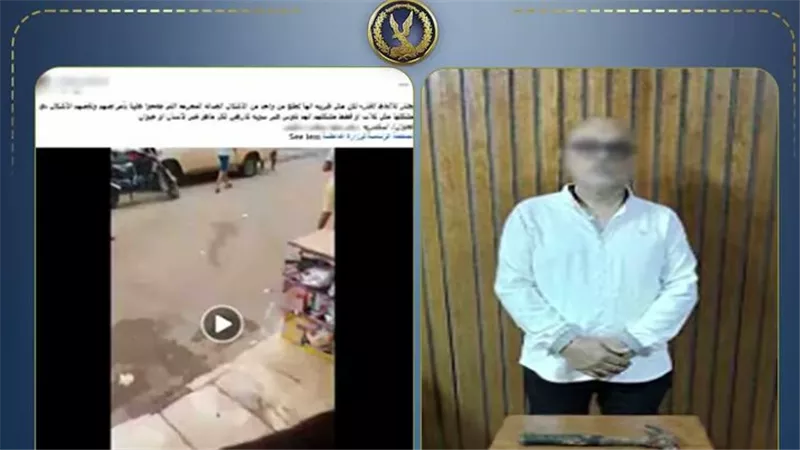 ضبط شخص اعتدى على سيدة وأتلف رصيف محلها بمطرقة حديدية بسبب الكلاب الضالة