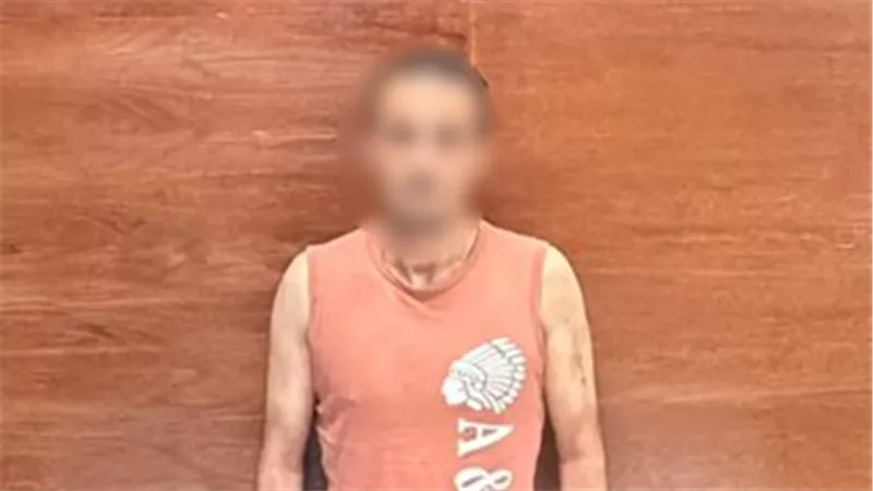 الأمن يسقط عاطلا لسرقته هاتف موظفة بمعمل تحاليل في القاهرة
